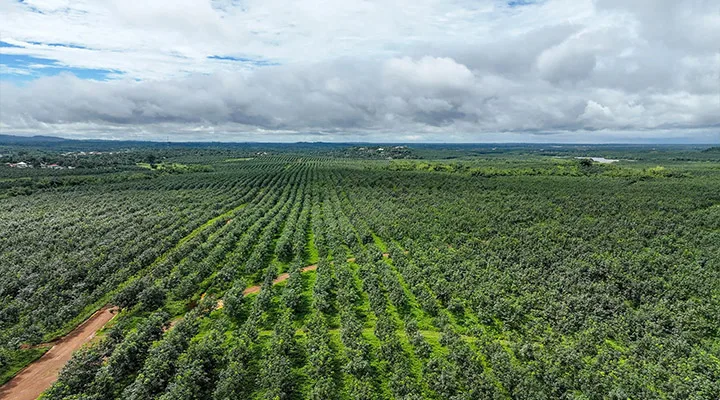 New Business Networks Create Opportunities for Young Founders