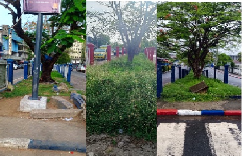 BROAD STREET’S BROKEN TREE GARDEN: