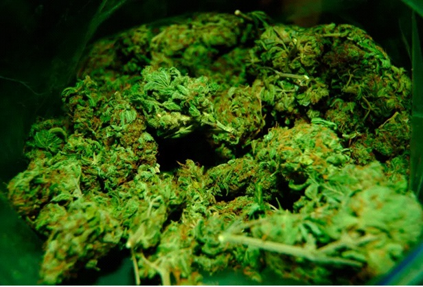 MAJOR DRUG BUST IN RIVER GEE COUNTY: