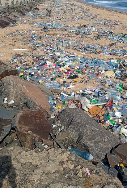 RE-INTRODUCE BEACH-WATERWAY PROGRAM
